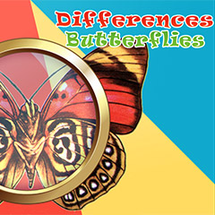 Differences: Butterflies gameplay
