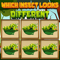 Which Insect Looks Different gameplay